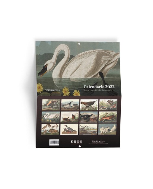 Calendario aves de américa 1