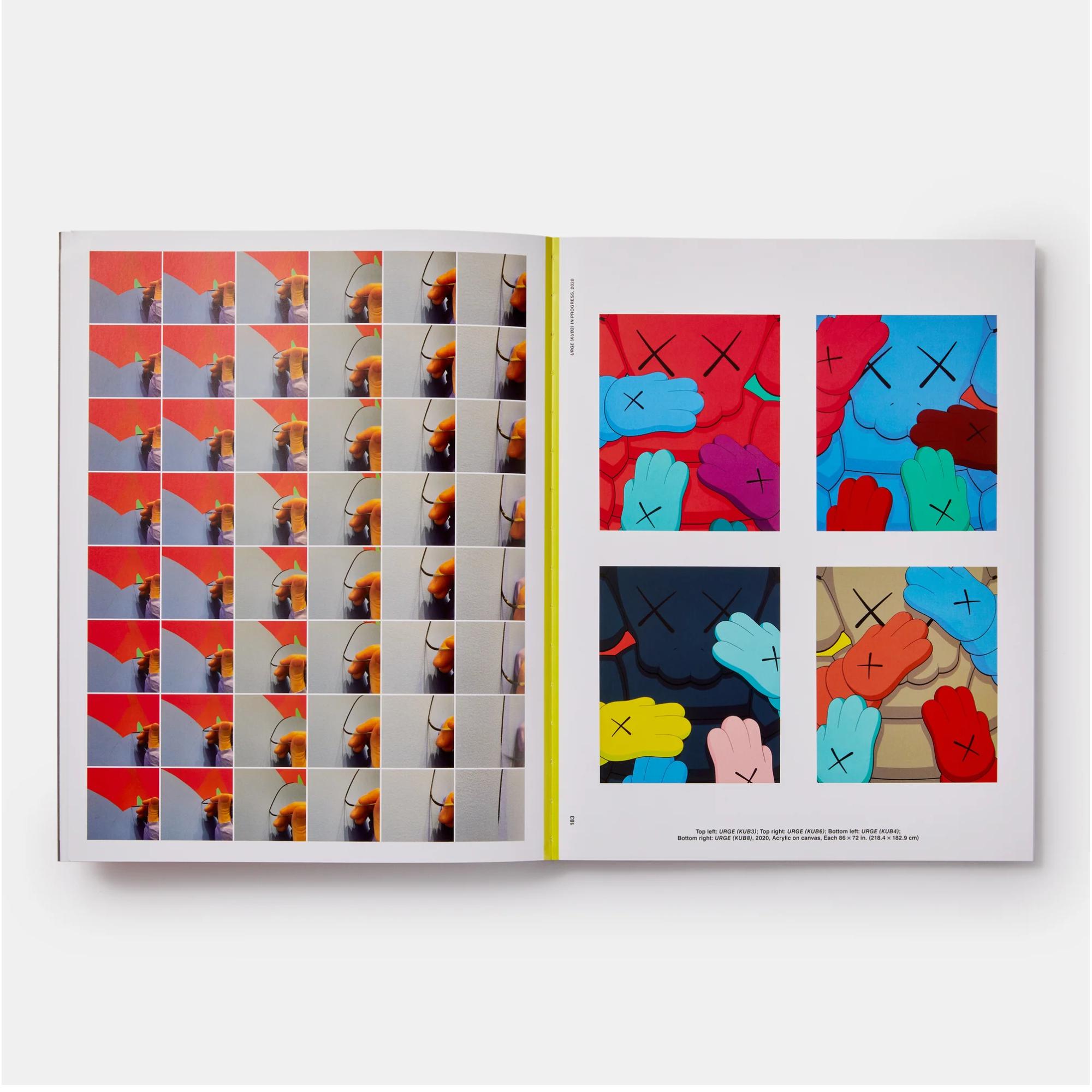 Kaws: what party (black on pink edition) 8