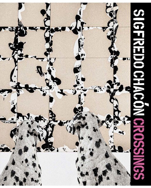 Sigfredo chacón. Crossings(Tapa dura) 1