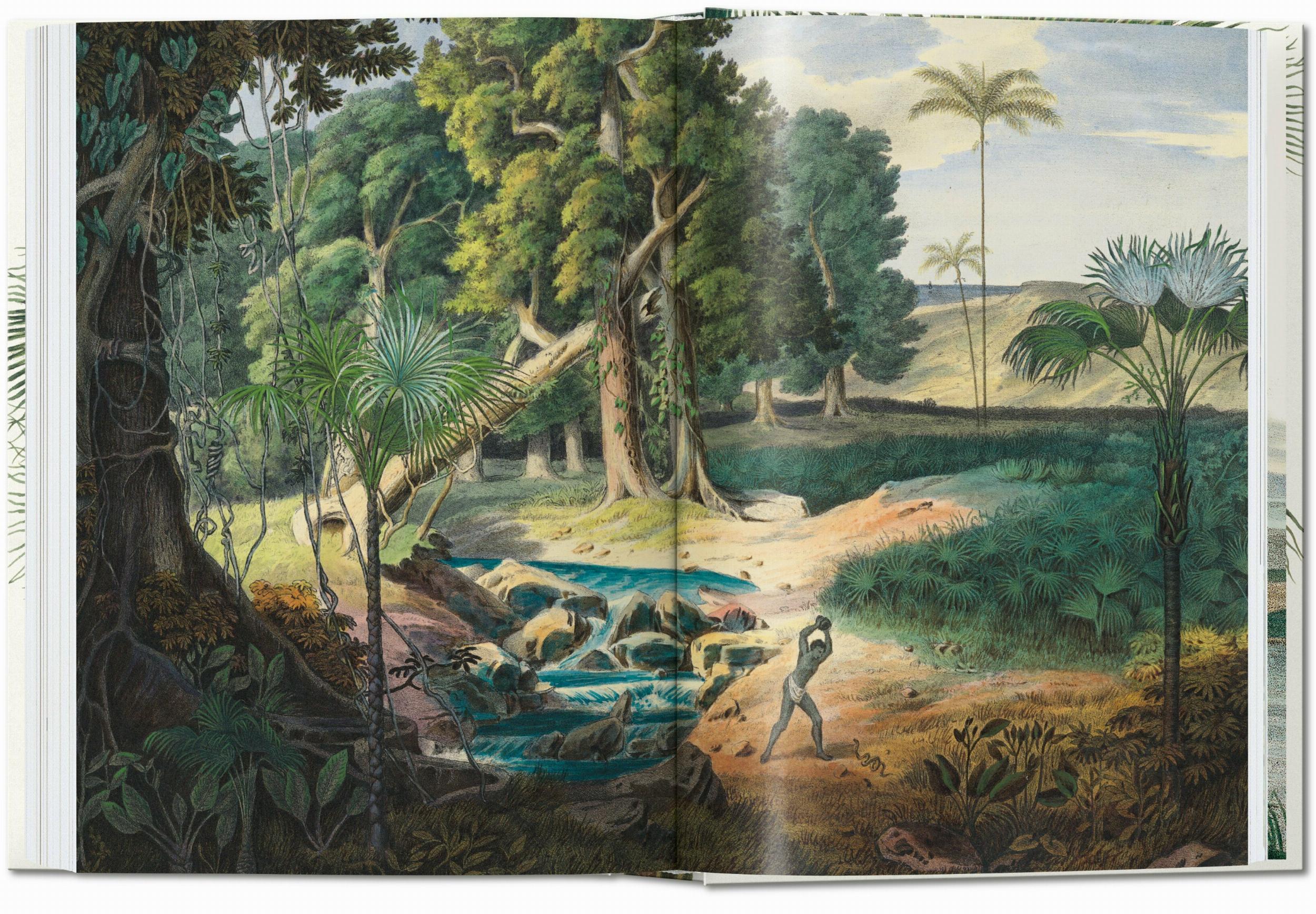 Martius. El libro de las palmeras. 45th Ed. (Capa dura) 2