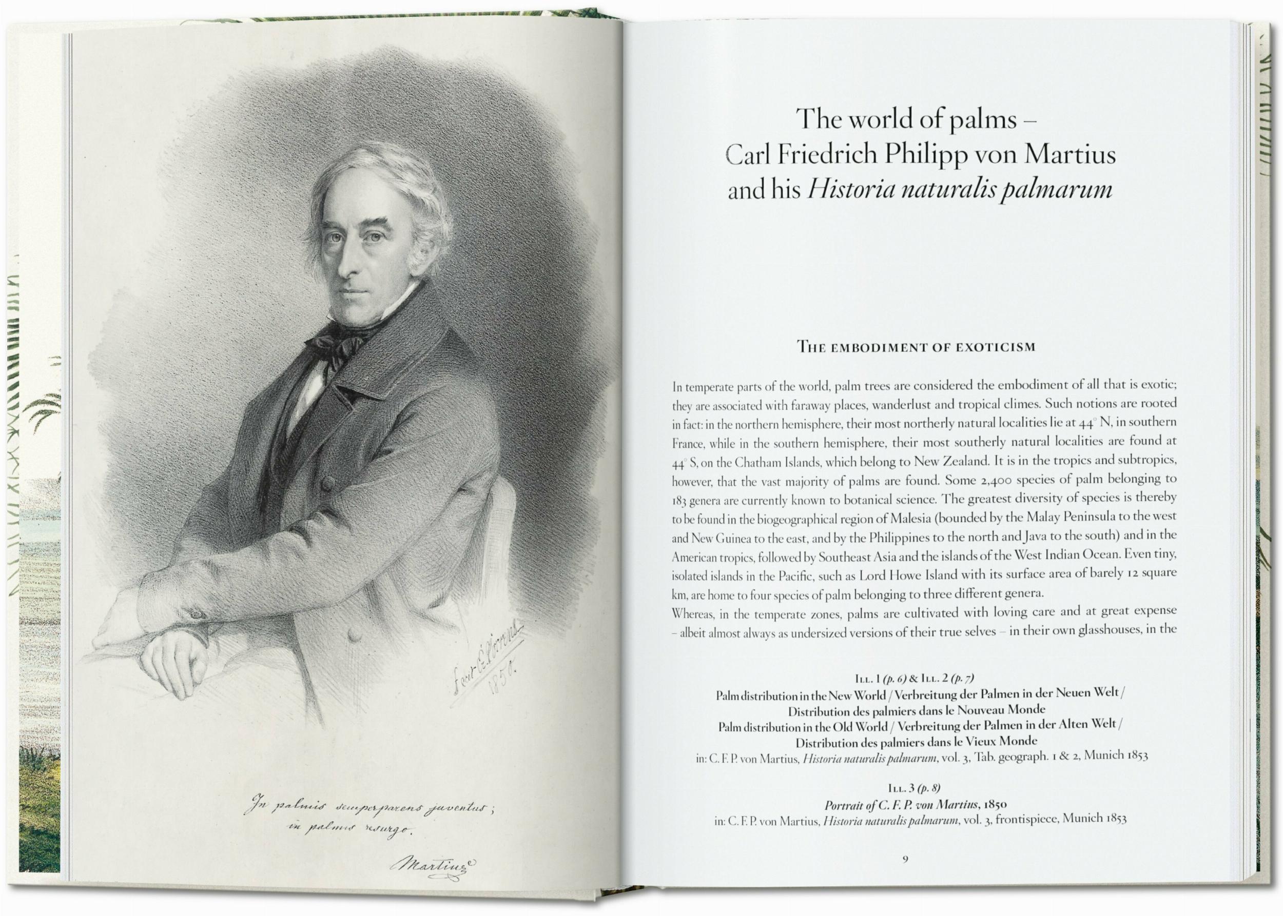 Martius. El libro de las palmeras. 45th Ed. (Capa dura) 7