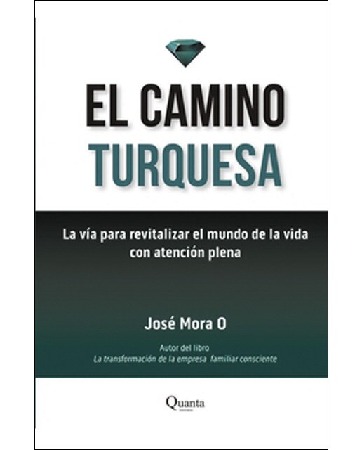 EL CAMINO TURQUESA (Capa mole com abas) 1