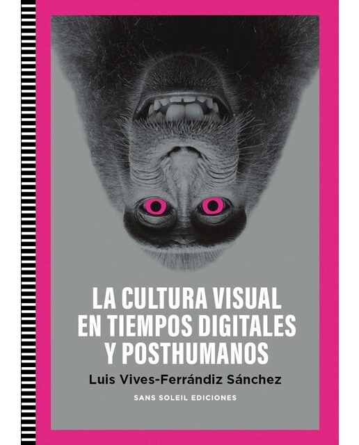 Cultura Visual en tiempos digitales y posthumanos (Capa mole) 1