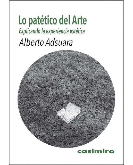 Lo patético del Arte: Explicando la experiencia estética (Capa mole) 1