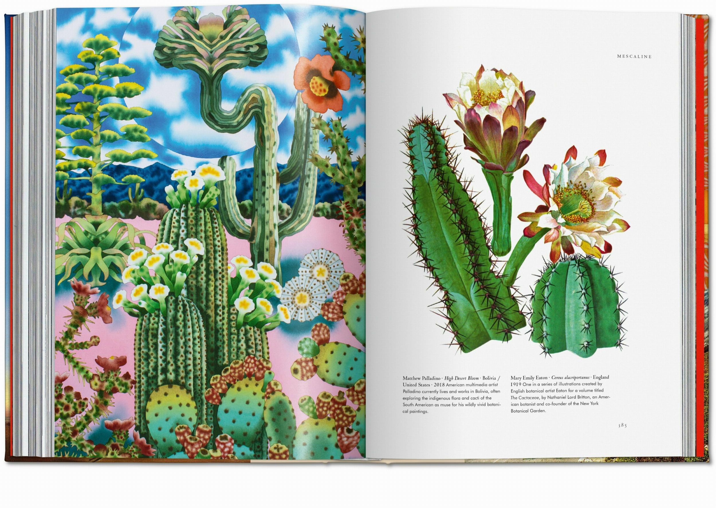 Plant Magick. The Library of Esoterica (Capa dura) 5