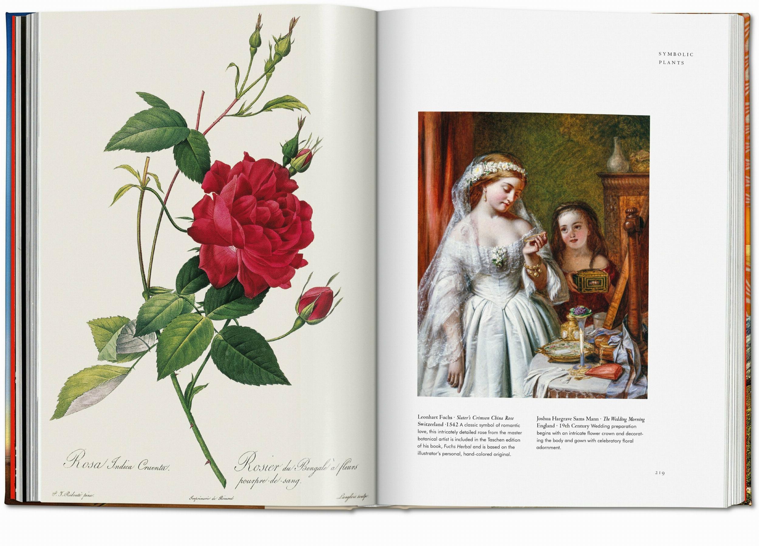 Plant Magick. The Library of Esoterica (Capa dura) 6