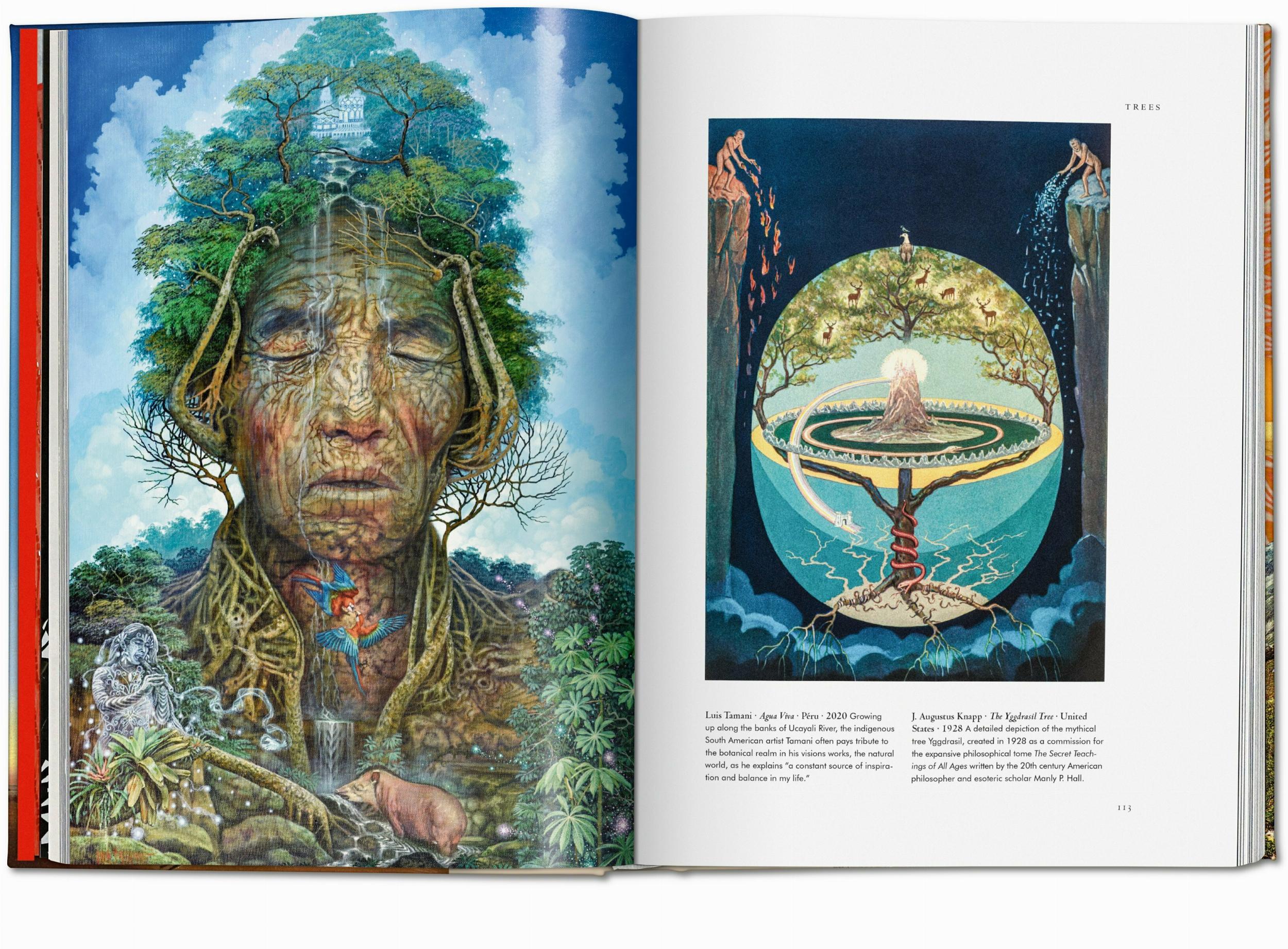 Plant Magick. The Library of Esoterica (Capa dura) 9