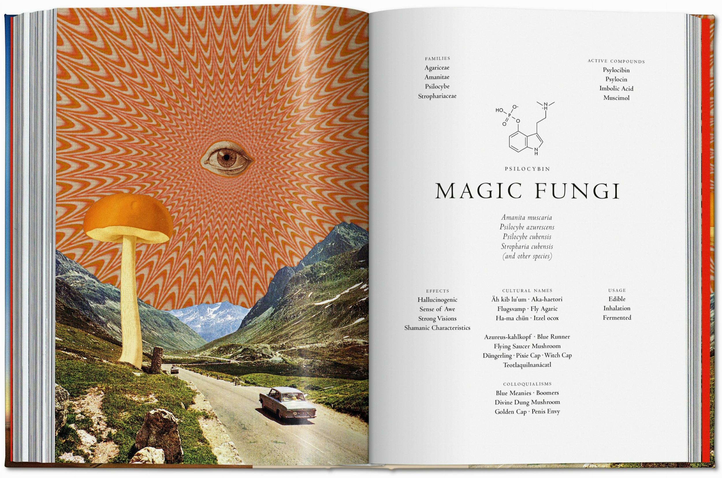 Plant Magick. The Library of Esoterica (Capa dura) 12