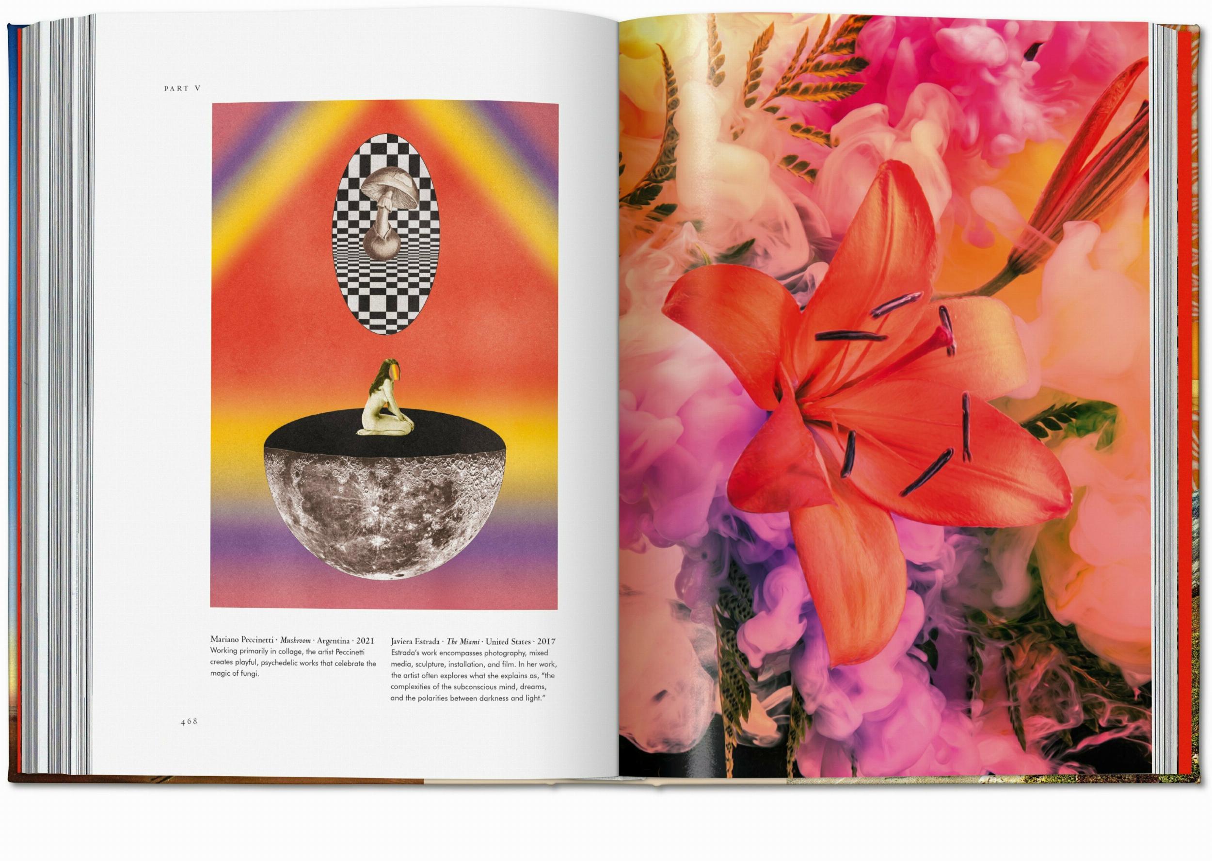 Plant Magick. The Library of Esoterica (Capa dura) 15