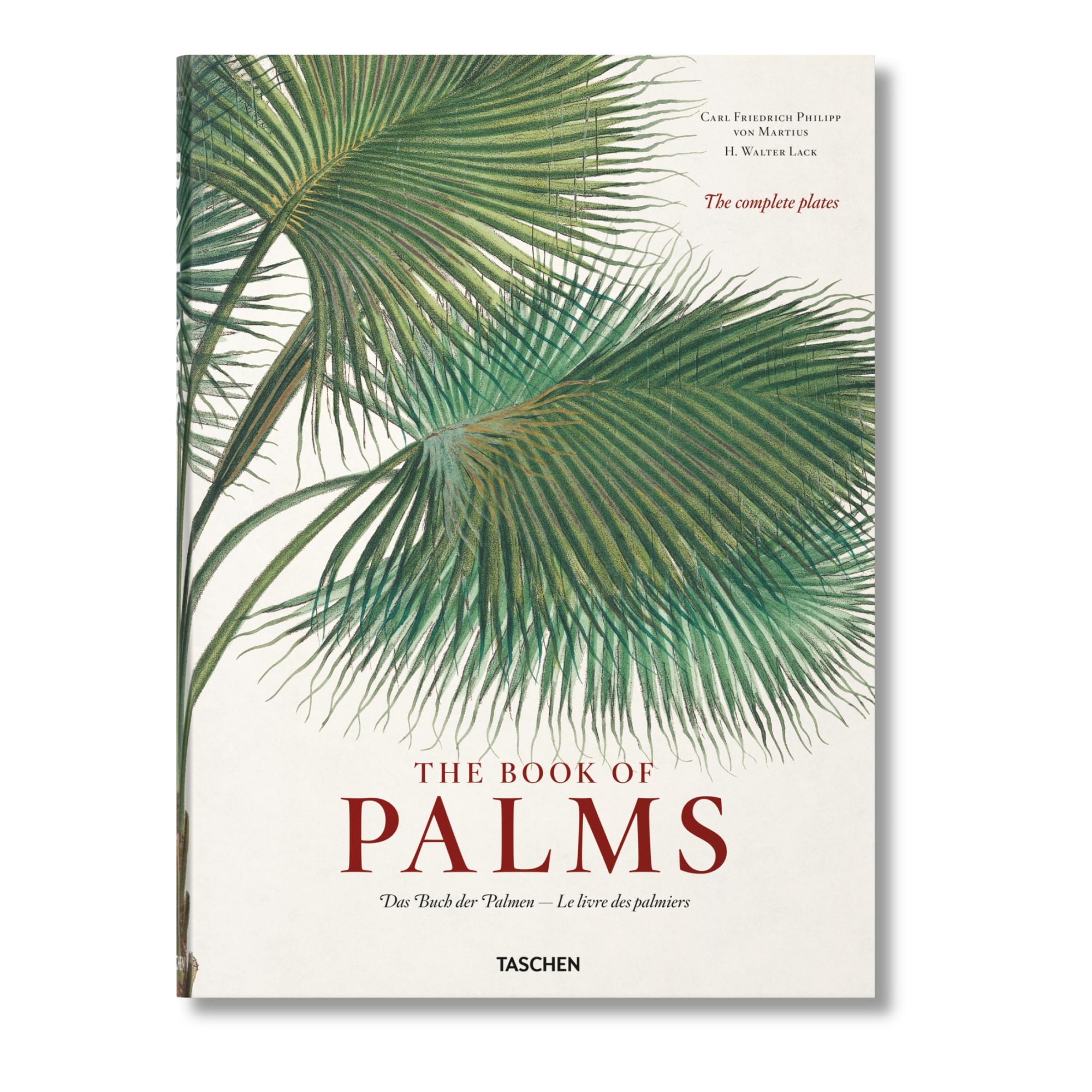 Imagem 0 de Martius. The Book of Palms (Capa dura)