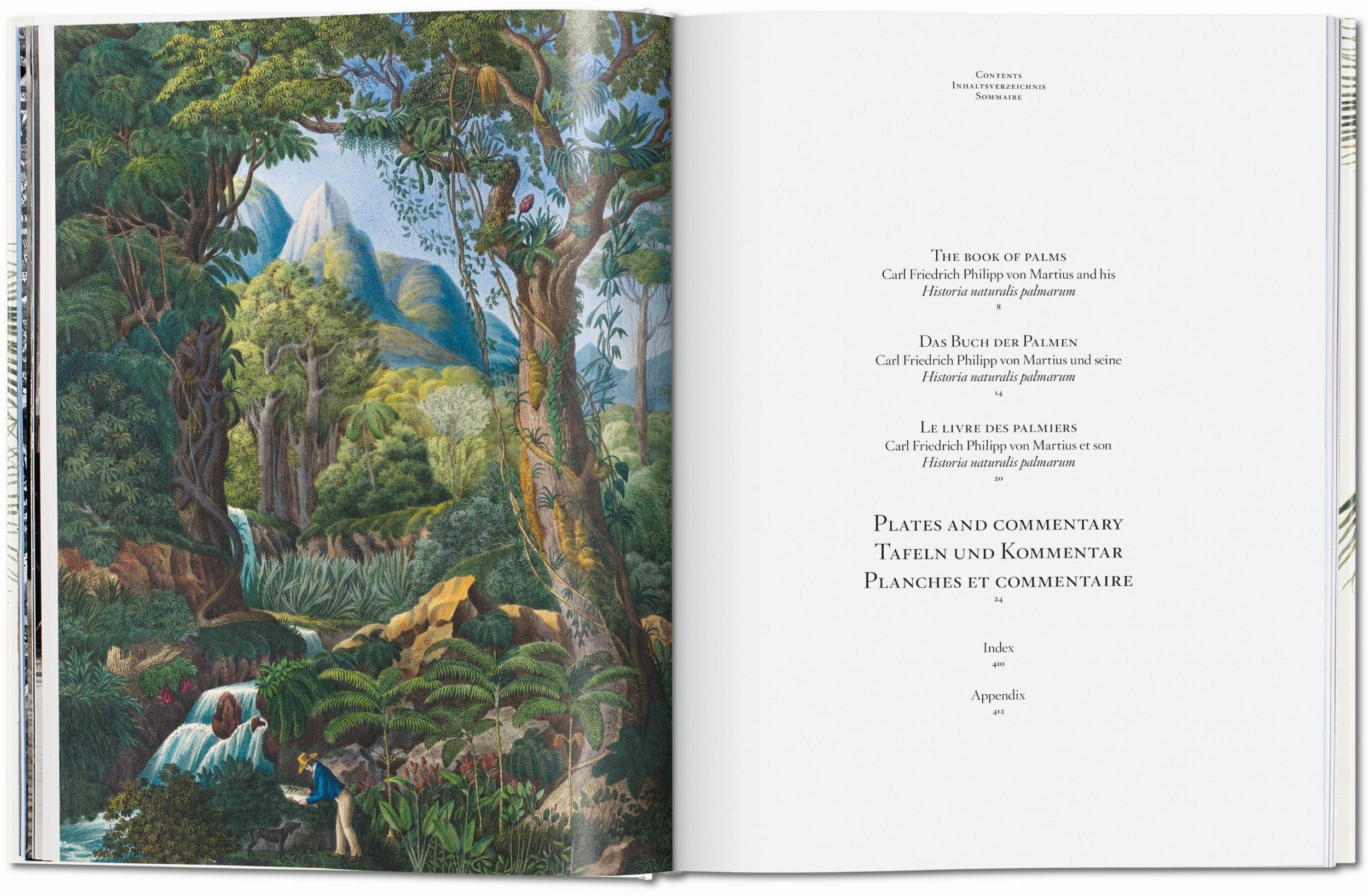 Martius. The Book of Palms (Capa dura) 6