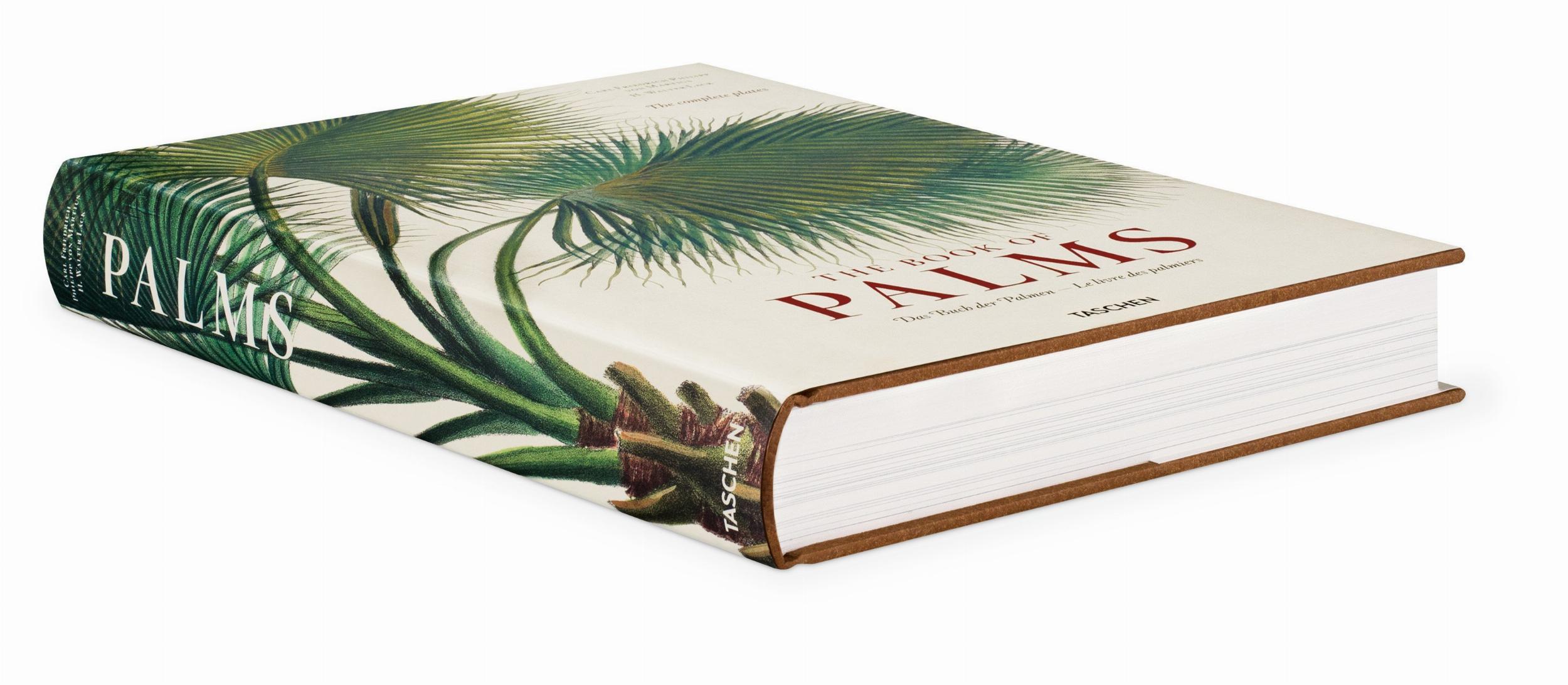 Martius. The Book of Palms (Capa dura) 8