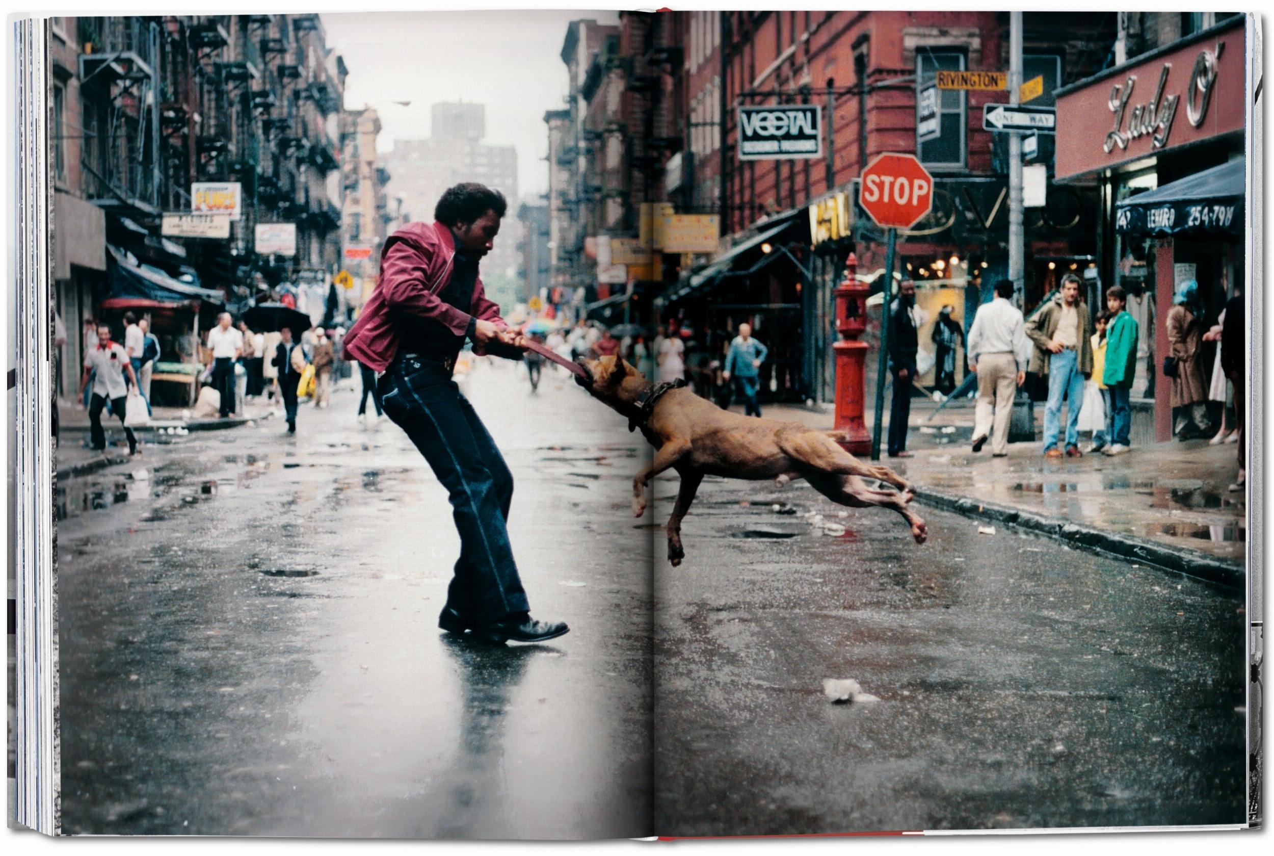New York. Portrait of a City (Capa dura) 7