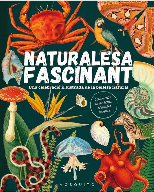Naturalesa fascinant: Una celebració il·lustrada de la bellesa natural 1