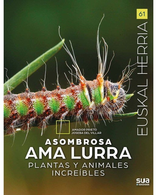 Asombrosa Ama Lurra (Capa mole) 1