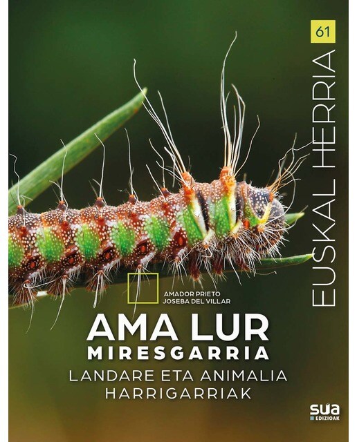 Ama lur miresgarria (Capa mole) 1