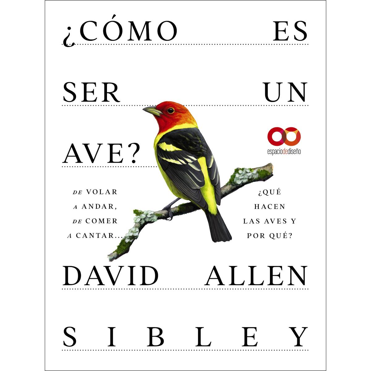 ¿Cómo es ser un ave? De volar a anidar, de comer a cantar... ¿Qué hacen las aves y por qué? 1