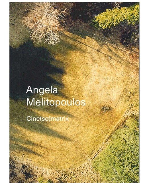 Angela Melitopoulos. Cine(so)matrix (Capa mole) 1