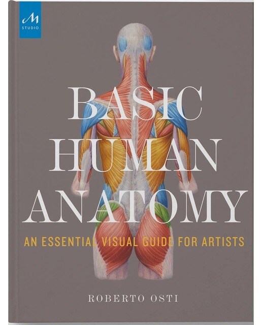 Basic human anatomy 1