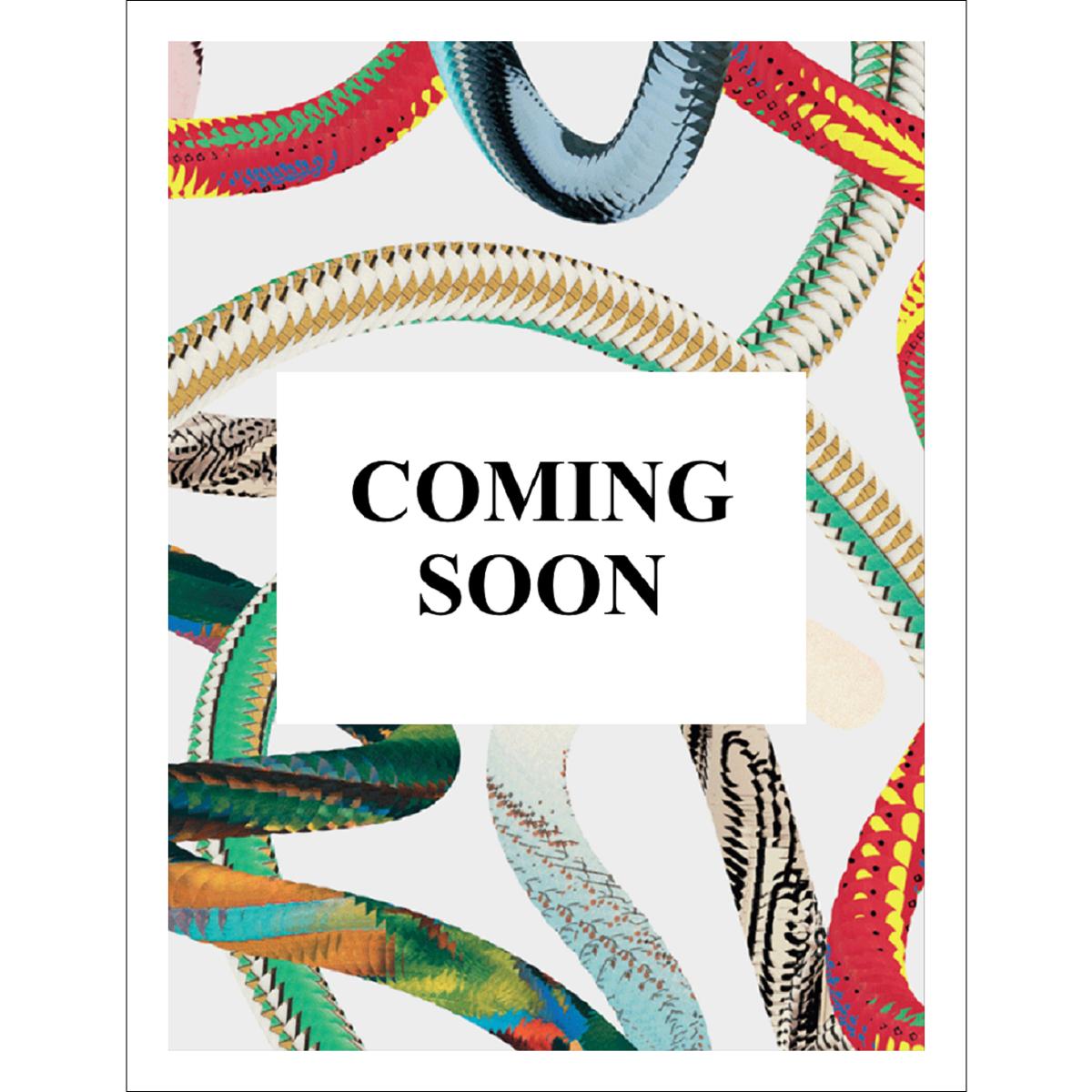 Imagem 0 de Rembrandt. Las pinturas. 45th Ed. (Capa dura)