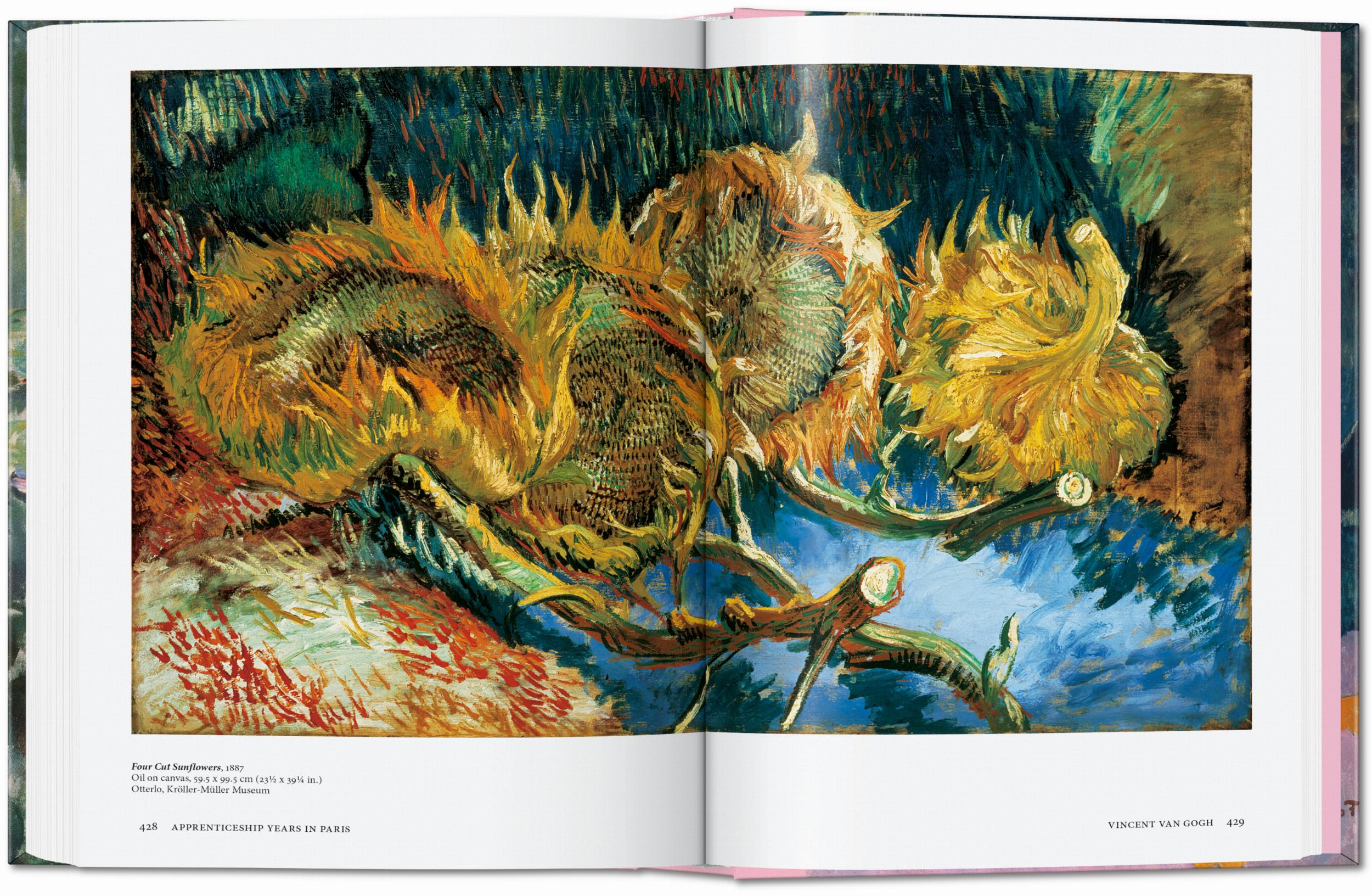Five in One. Impresionismo (Capa dura) 6