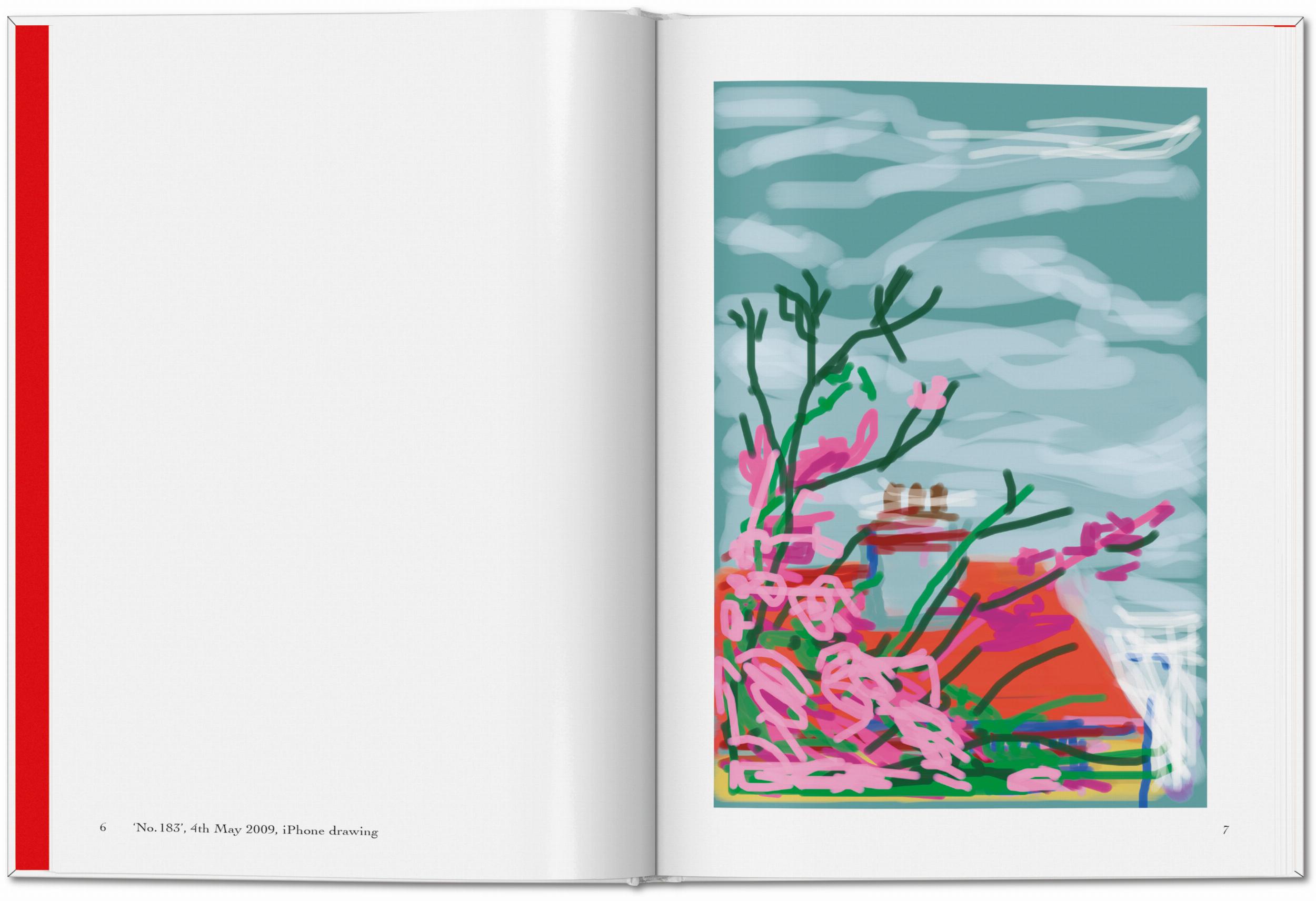 David Hockney. My Window (Capa dura) 4