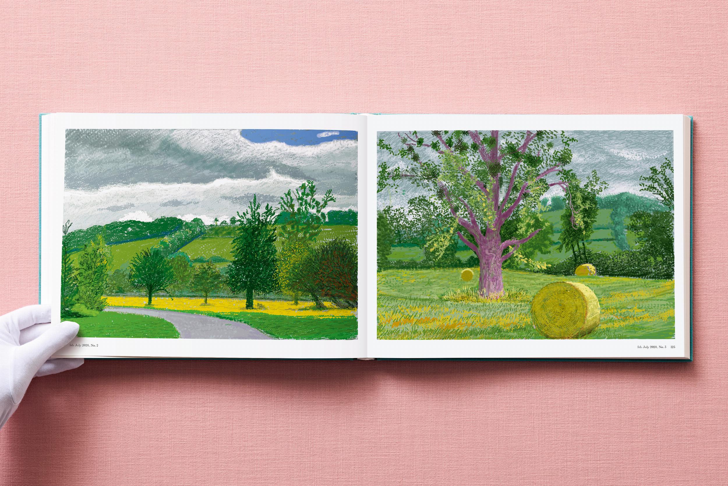 David Hockney. 220 for 2020 (Capa dura) 4
