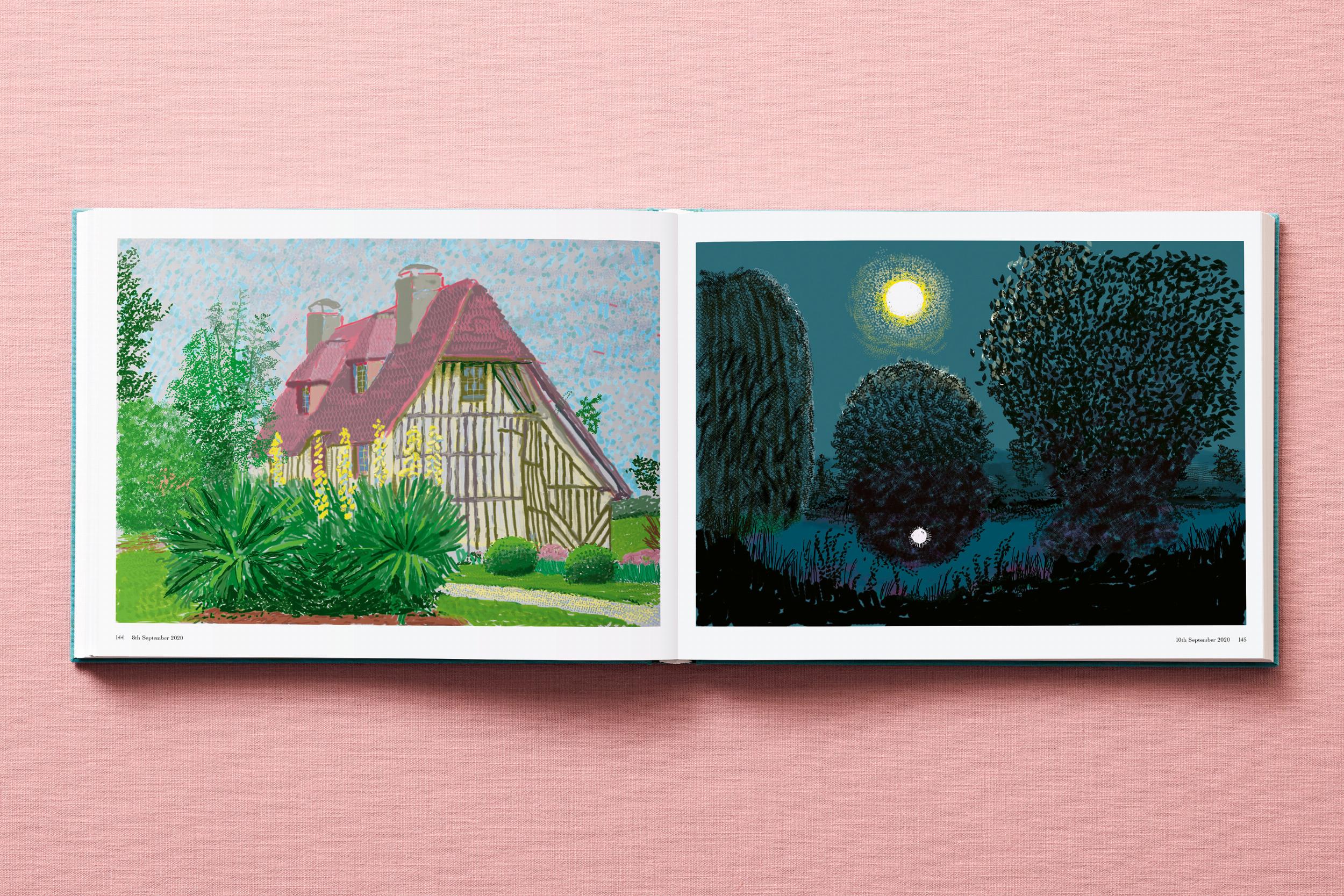 David Hockney. 220 for 2020 (Capa dura) 9