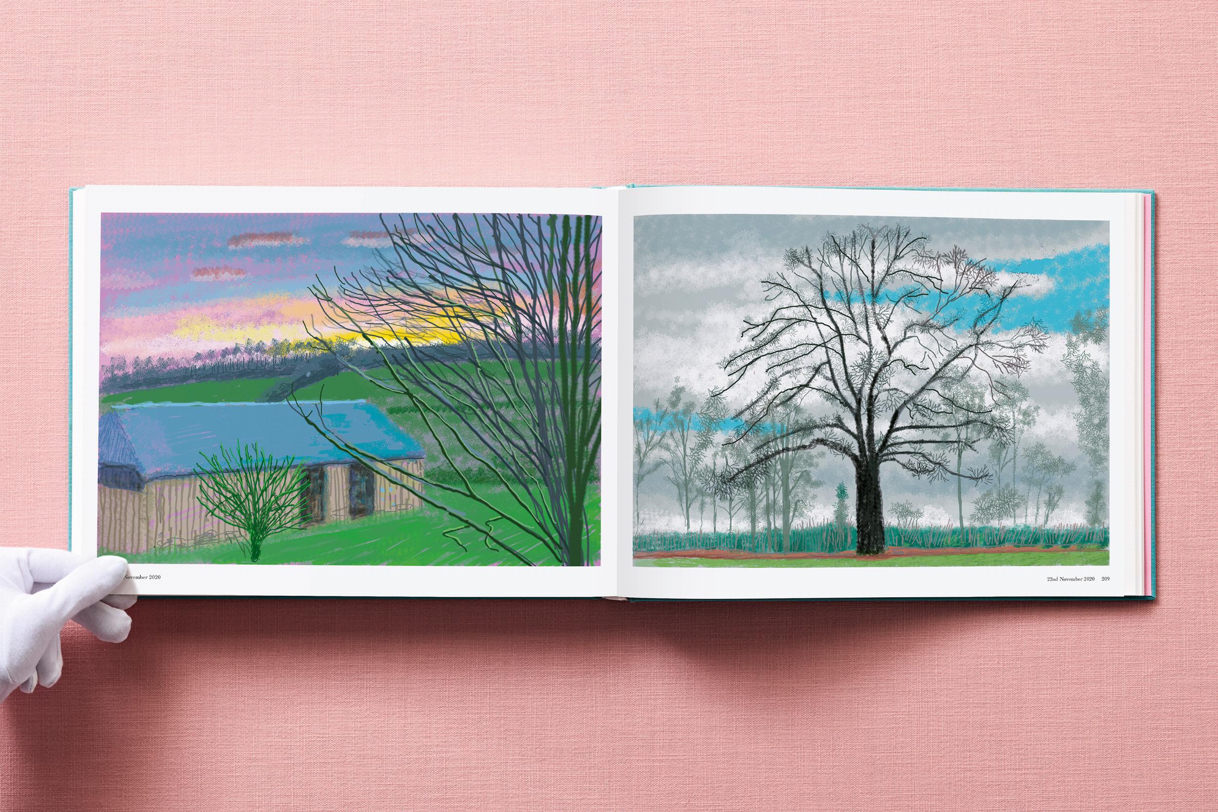 David Hockney. 220 for 2020 (Capa dura) 10
