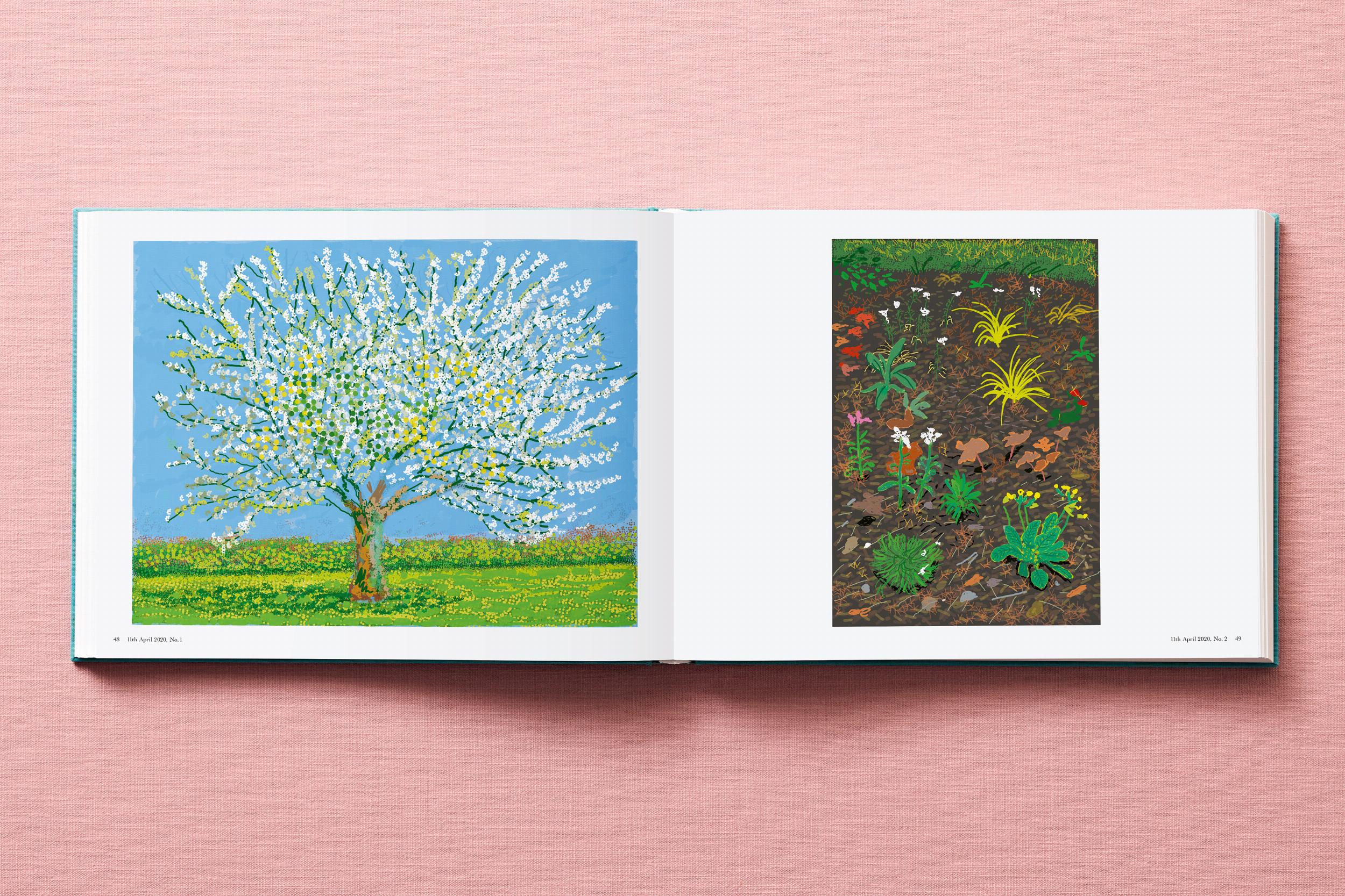 David Hockney. 220 for 2020 (Capa dura) 12