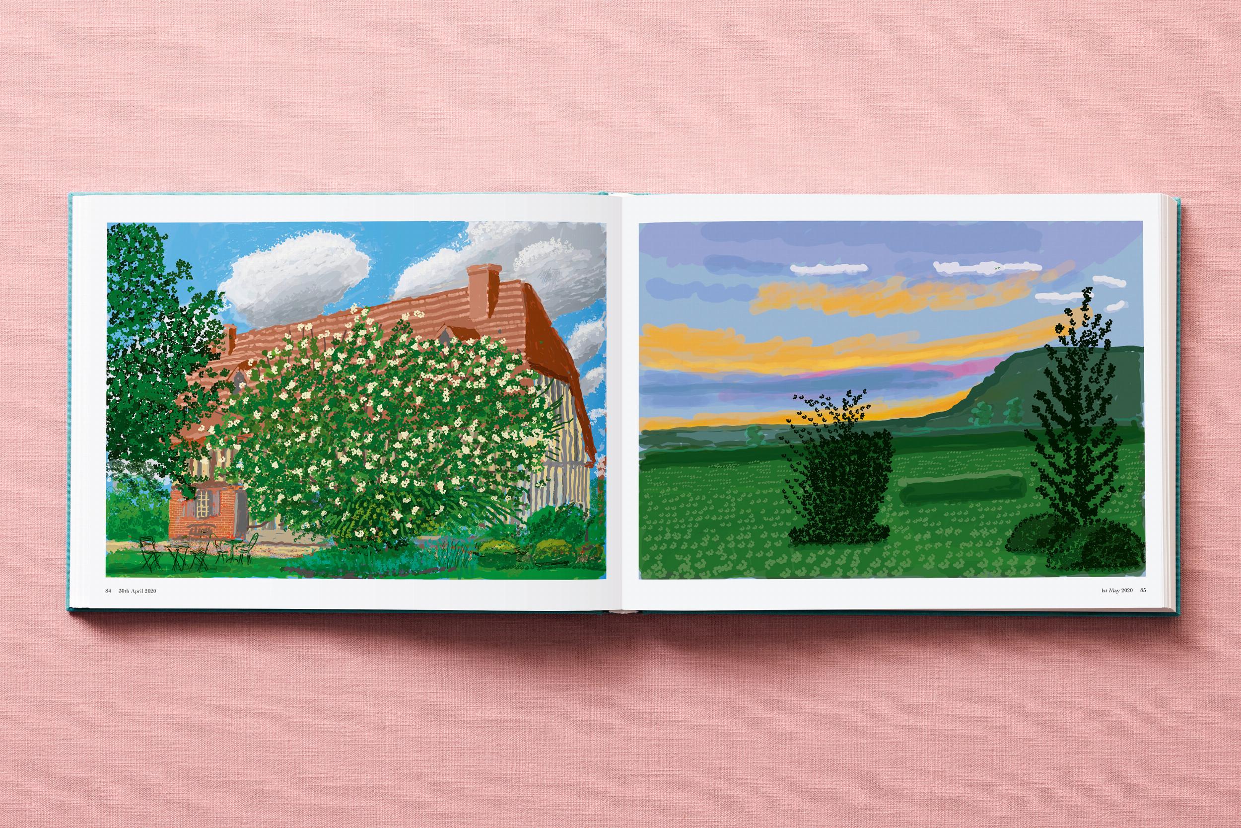David Hockney. 220 for 2020 (Capa dura) 13