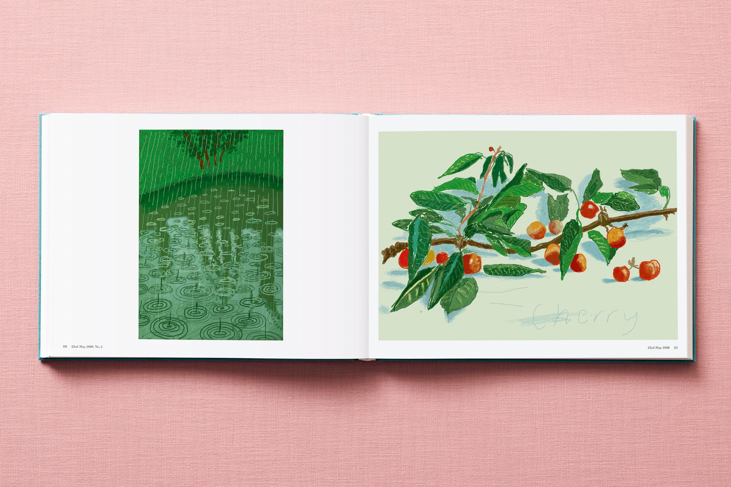David Hockney. 220 for 2020 (Capa dura) 16