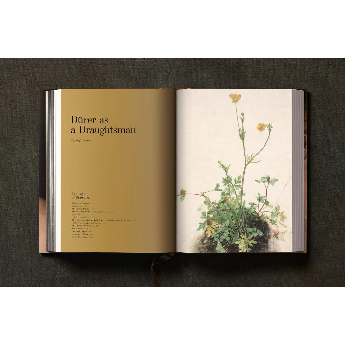 Albrecht Dürer. The Complete Paintings. Selected Drawings and Prints (Capa dura) 9