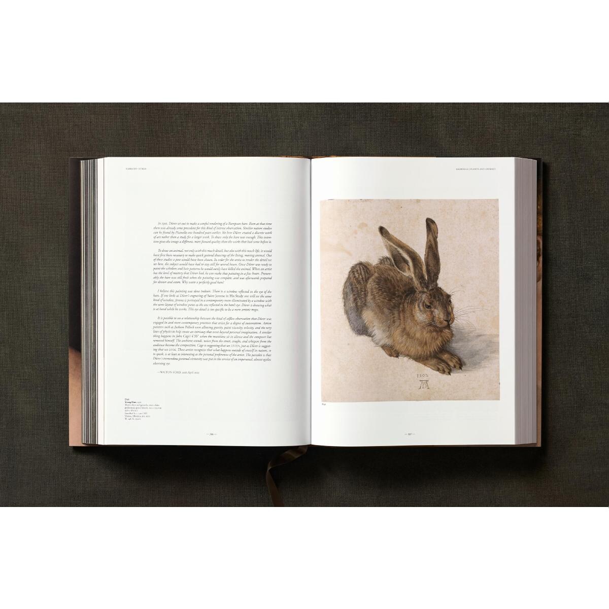 Albrecht Dürer. The Complete Paintings. Selected Drawings and Prints (Capa dura) 19