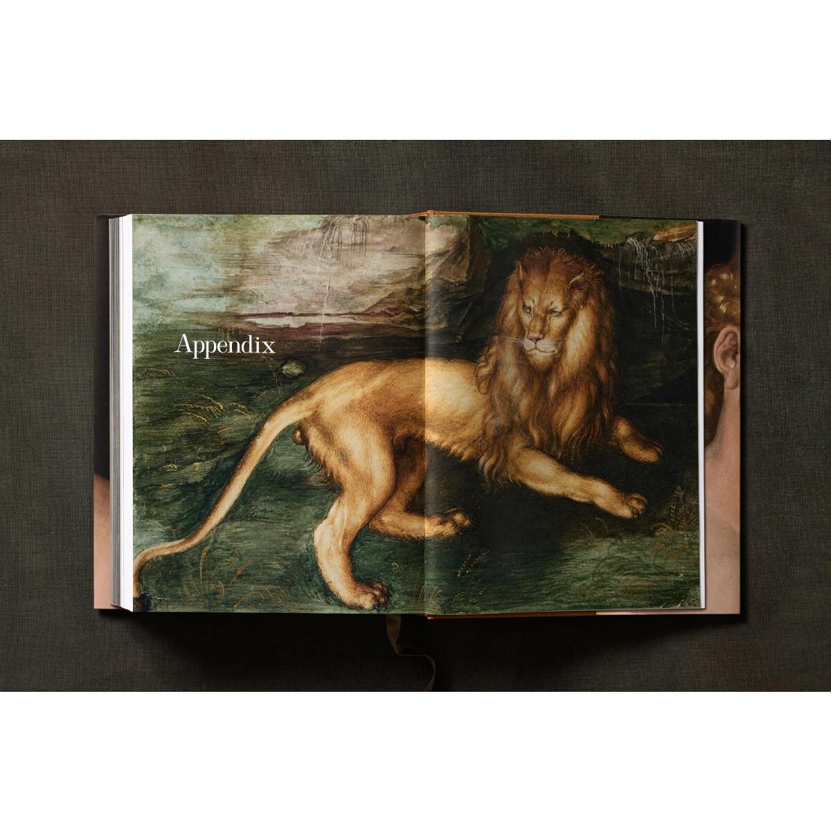 Albrecht Dürer. The Complete Paintings. Selected Drawings and Prints (Capa dura) 29