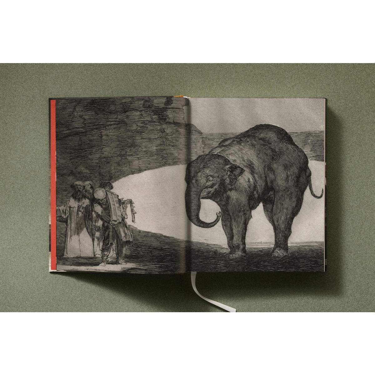 Goya. The Complete Prints (Capa dura) 12