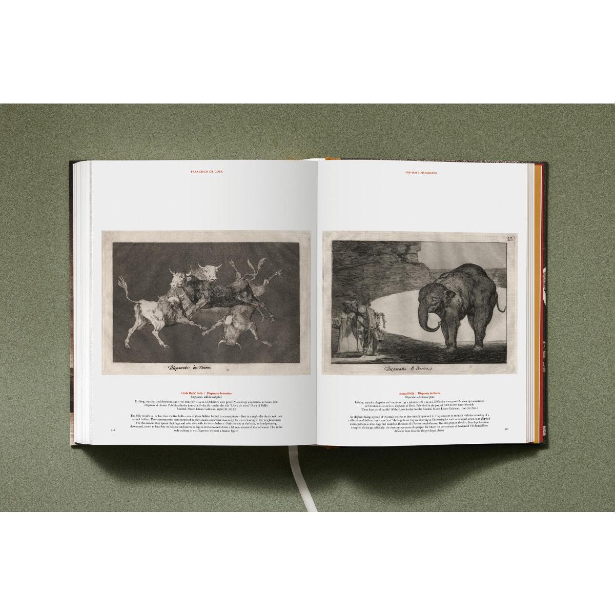 Goya. The Complete Prints (Capa dura) 24
