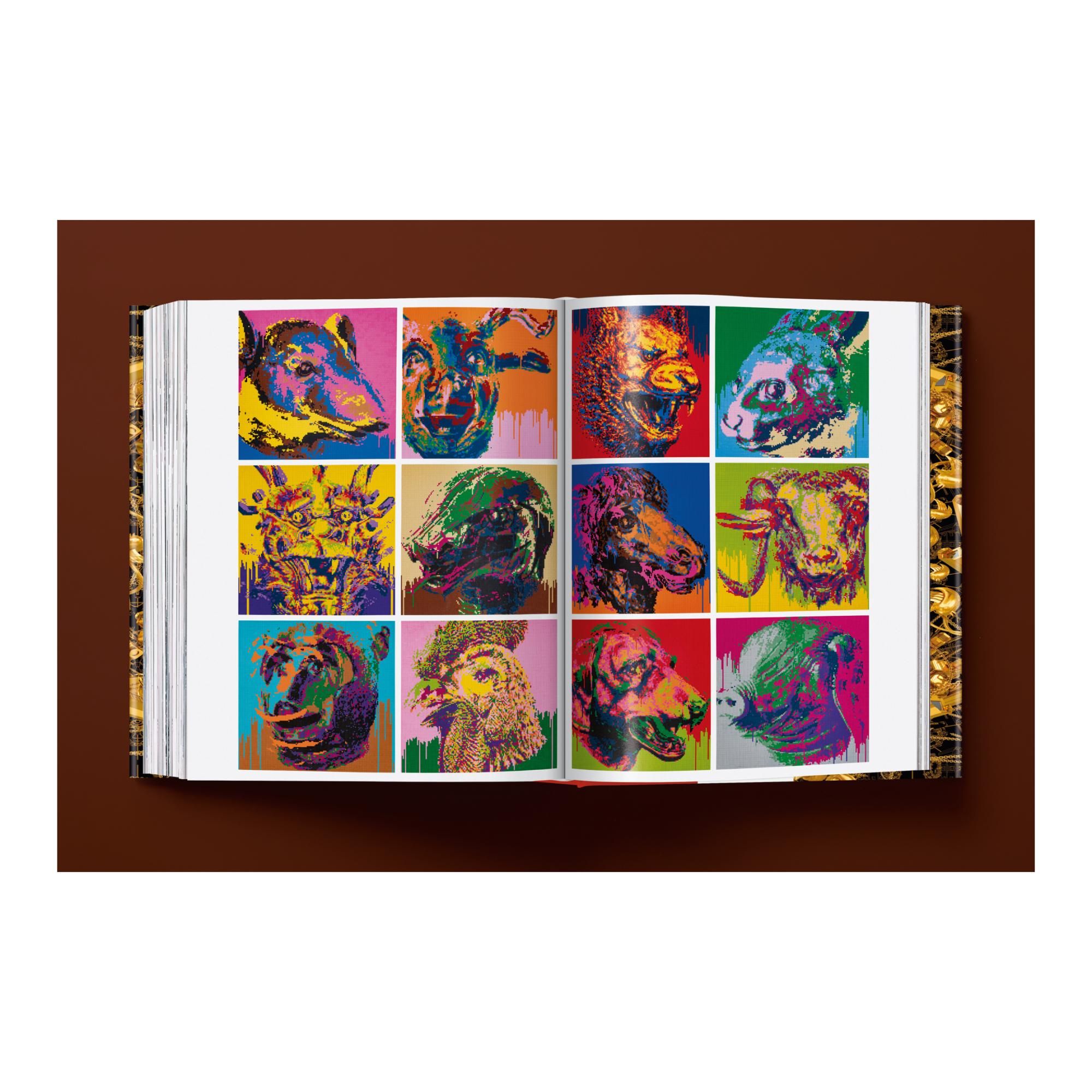 Ai Weiwei. Updated Edition (Capa dura) 6