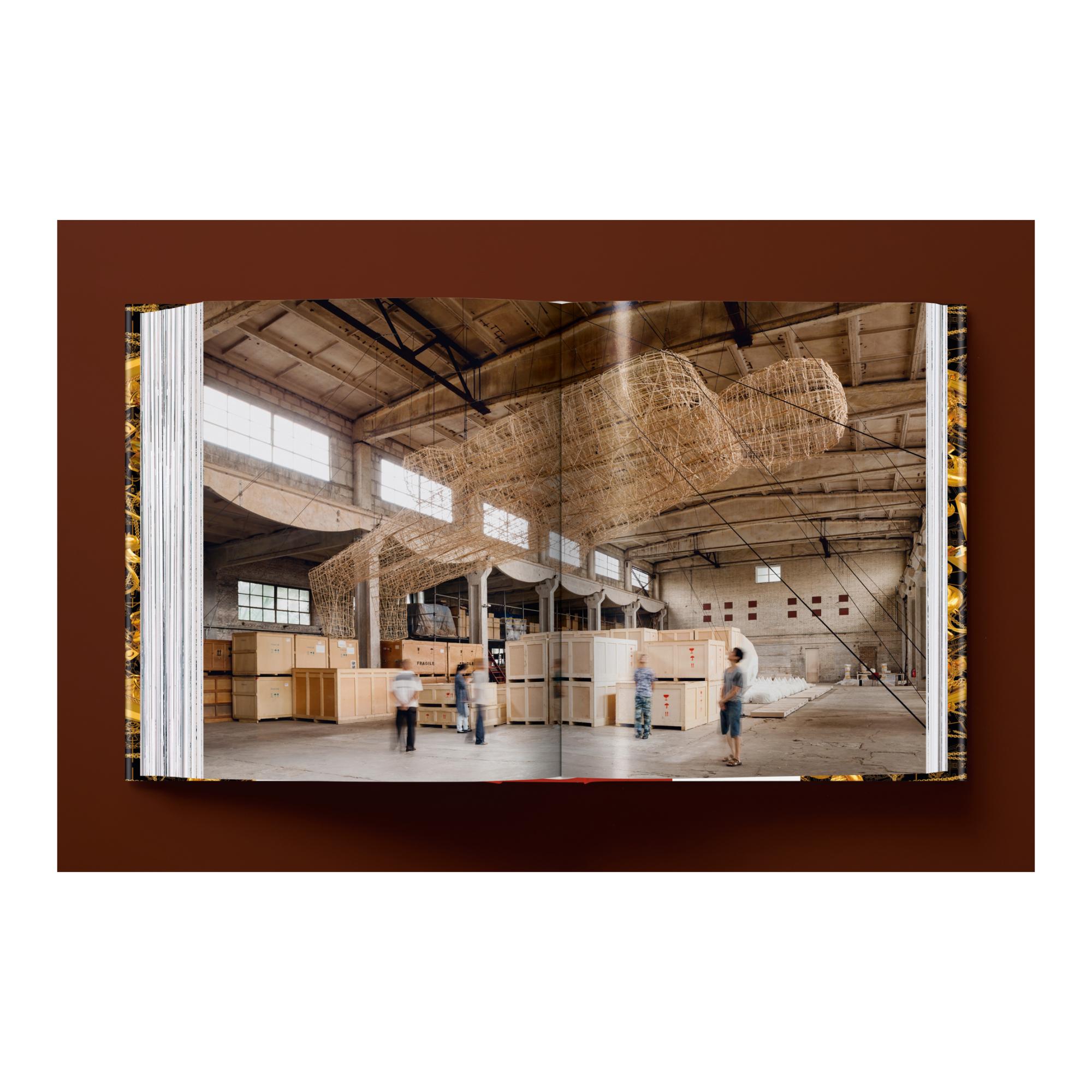 Ai Weiwei. Updated Edition (Capa dura) 8