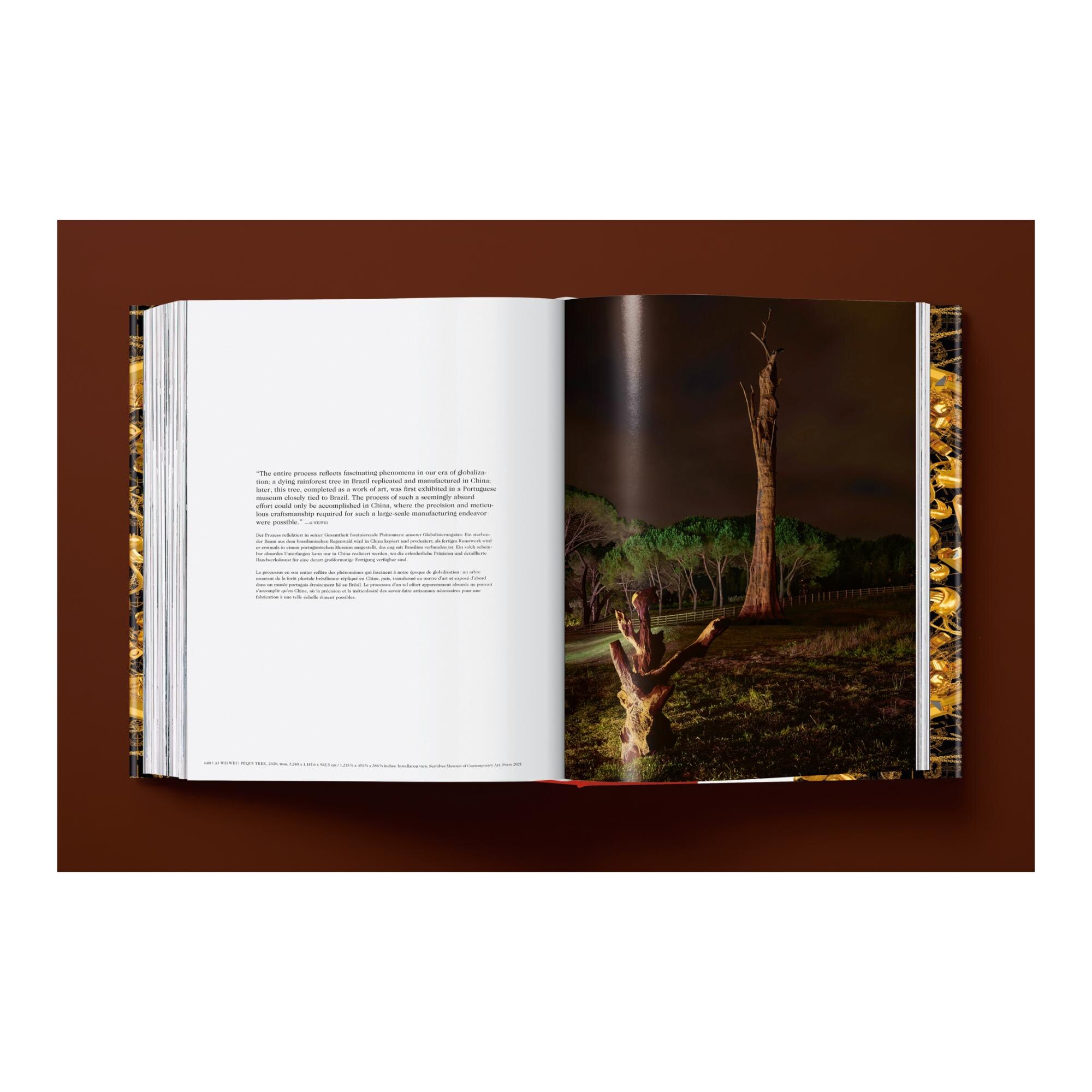 Ai Weiwei. Updated Edition (Capa dura) 13