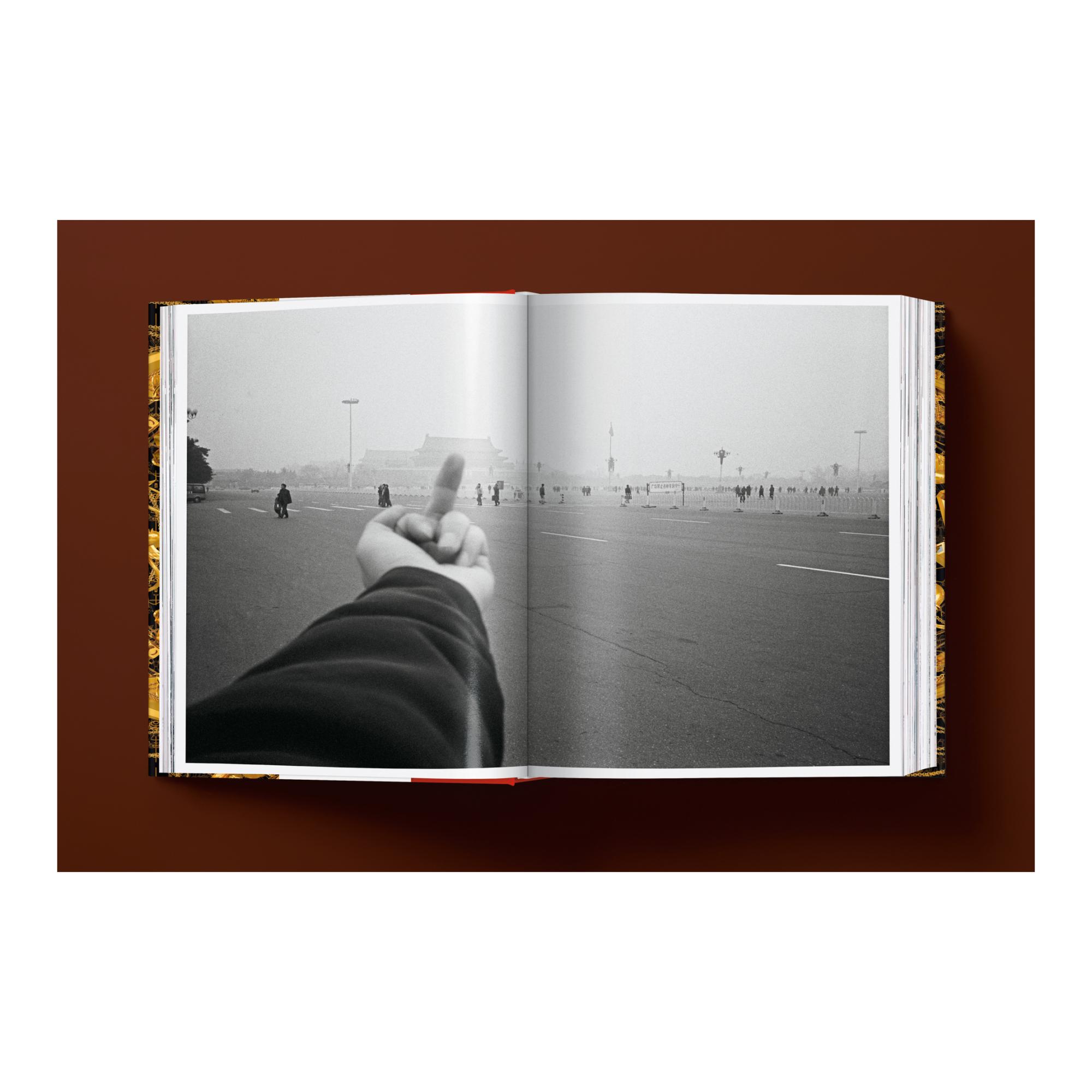 Ai Weiwei. Updated Edition (Capa dura) 14