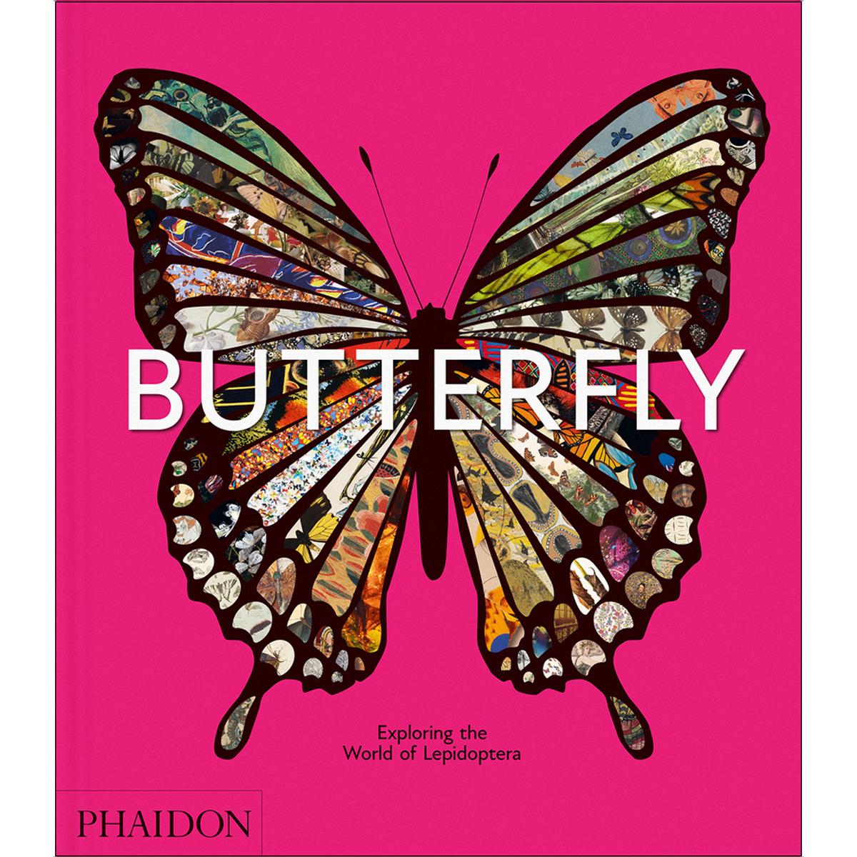 Butterfly 1