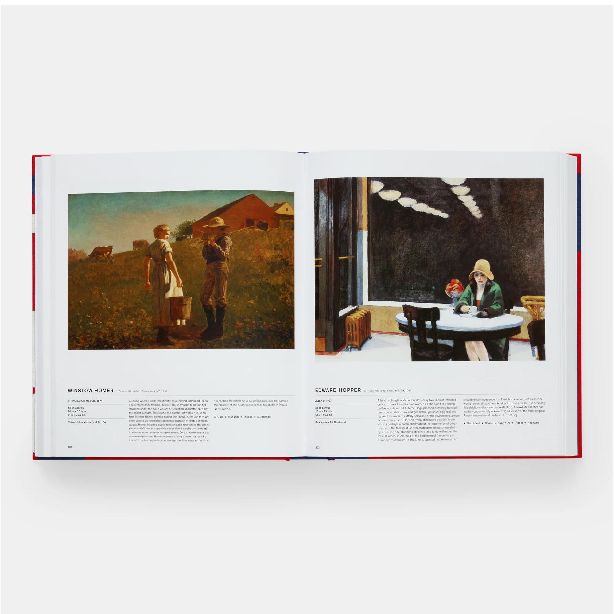 The amercian art book 6