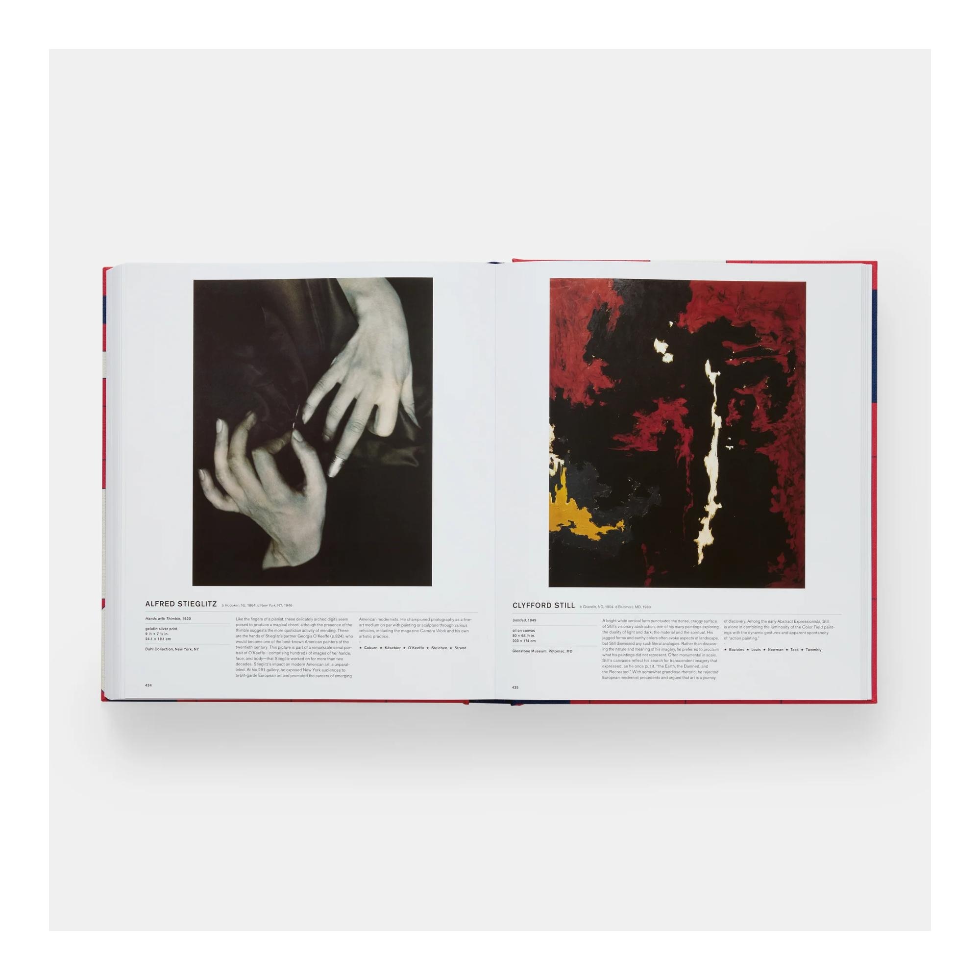 The amercian art book 9