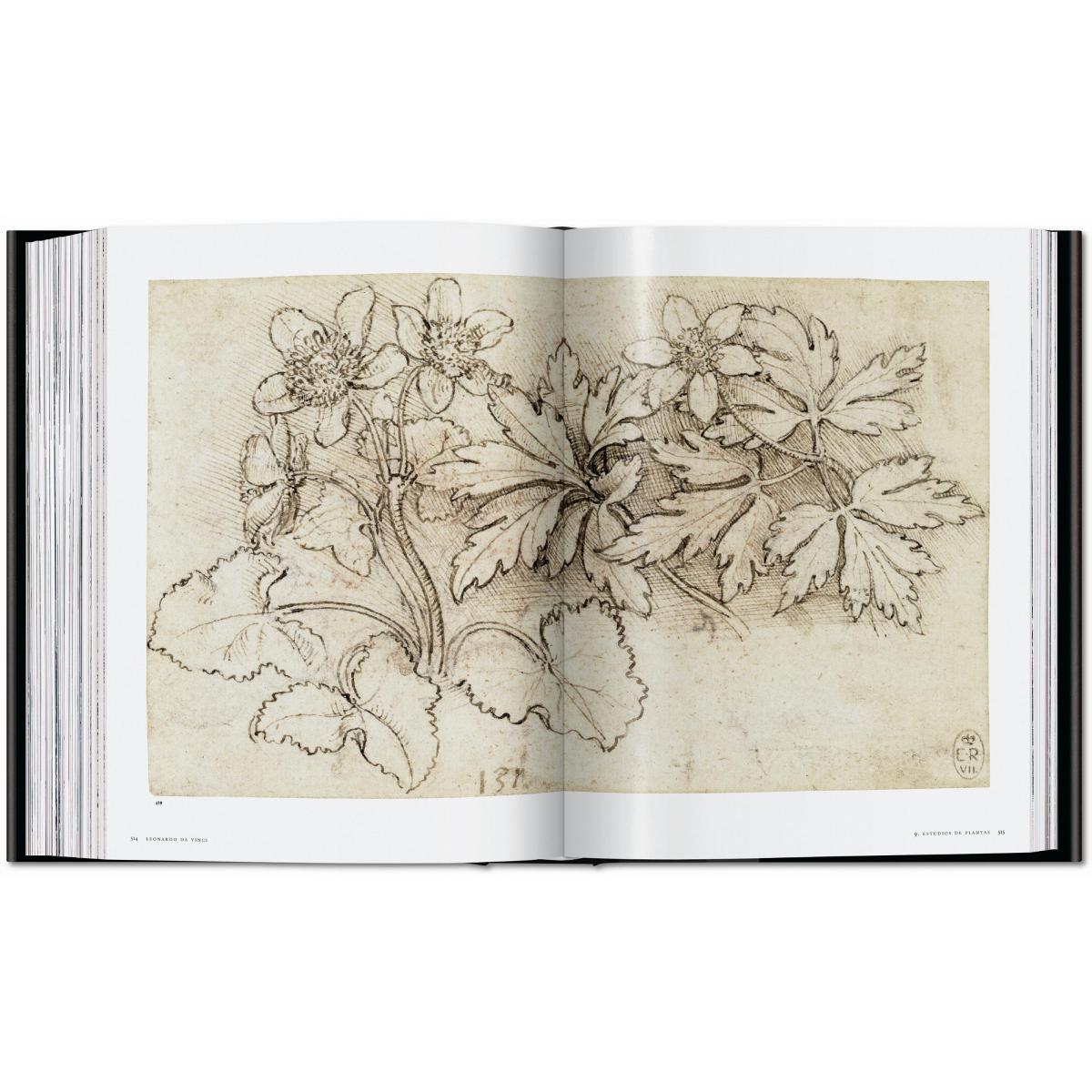 Leonardo. Obra pictórica completa y obra gráfica (Capa dura) 3