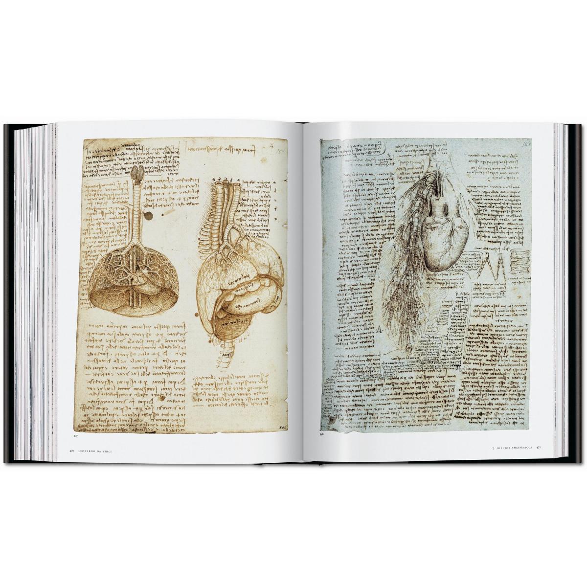 Leonardo. Obra pictórica completa y obra gráfica (Capa dura) 8