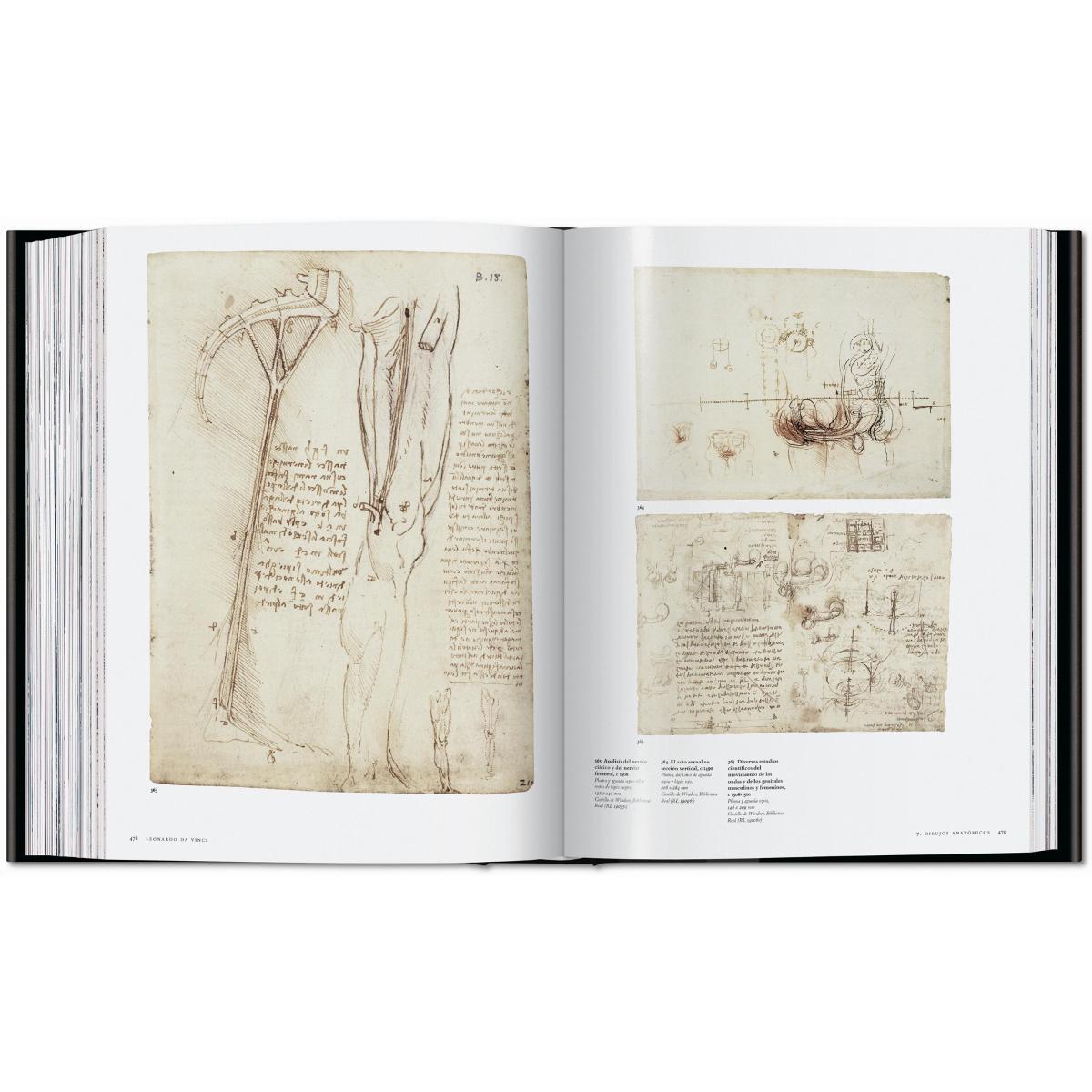 Leonardo. Obra pictórica completa y obra gráfica (Capa dura) 18