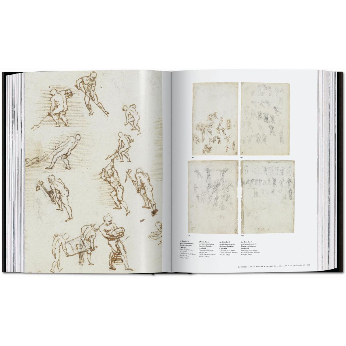 Leonardo. Obra pictórica completa y obra gráfica (Capa dura) 20