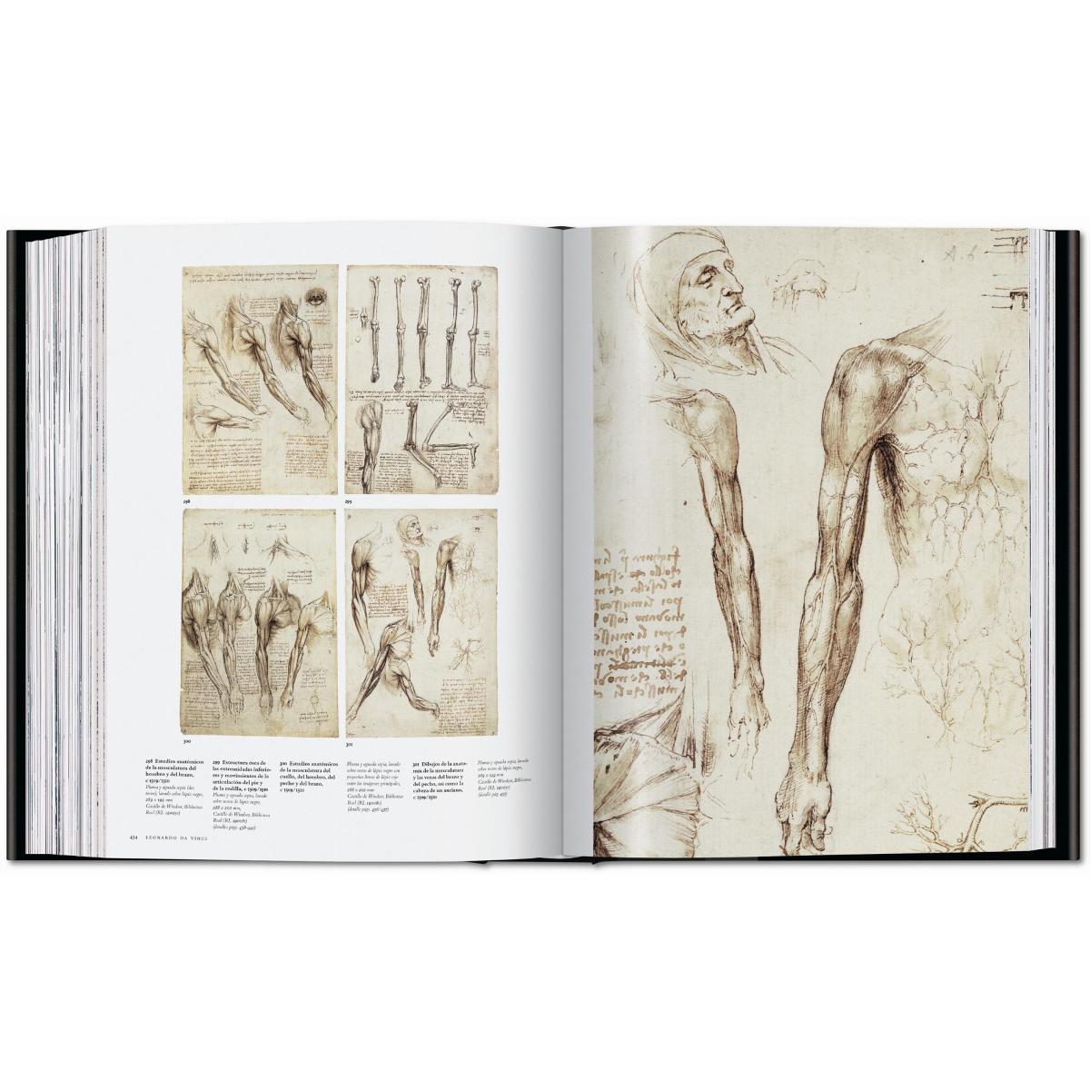 Leonardo. Obra pictórica completa y obra gráfica (Capa dura) 24