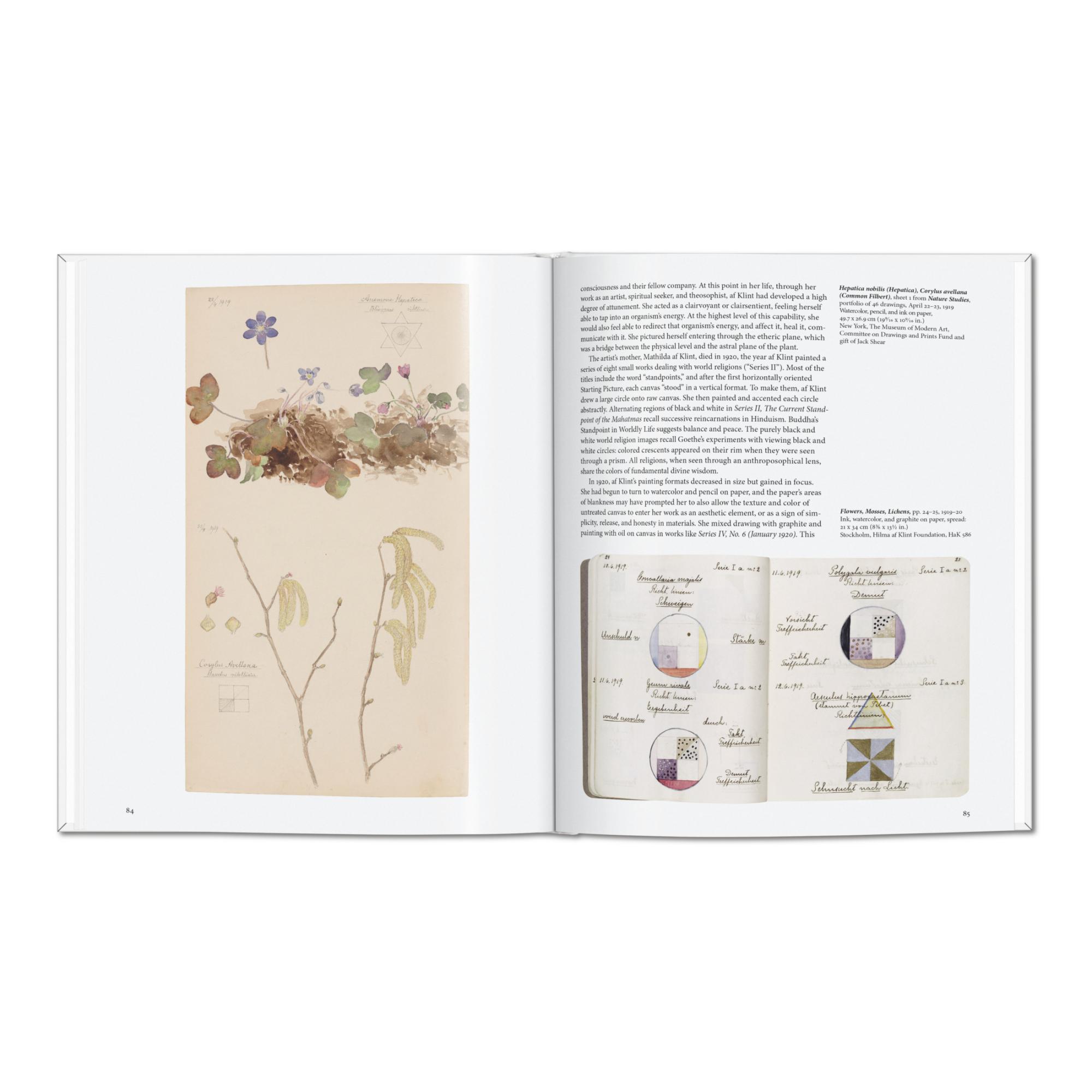 Hilma af Klint (Capa dura) 13